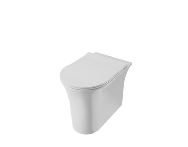 Distinct Dedham Comfort Height Rimless Back To Wall Pan (Pan Only) product image