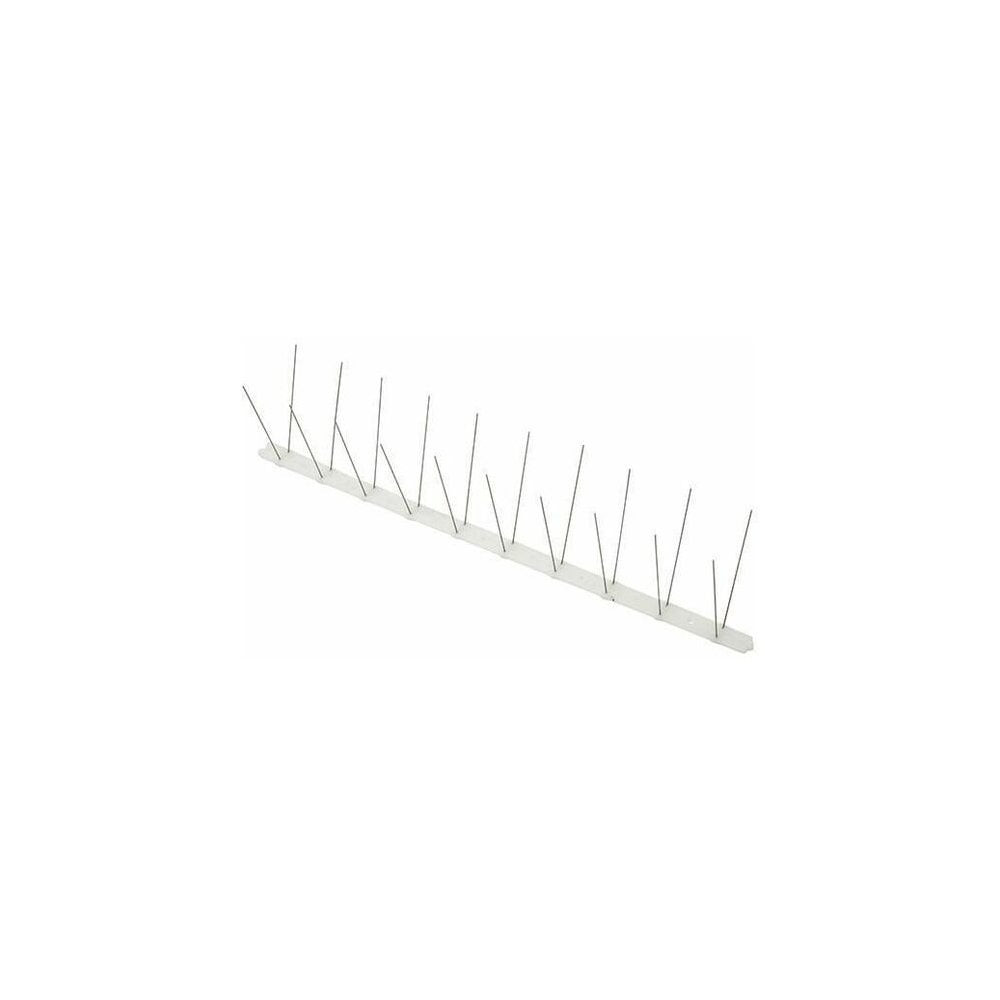Product Image Zoom -1