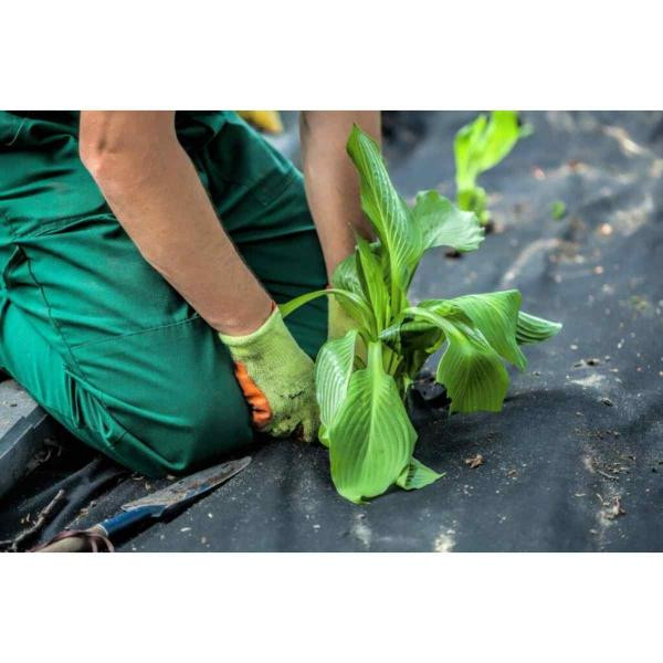 Product Image Zoom -1