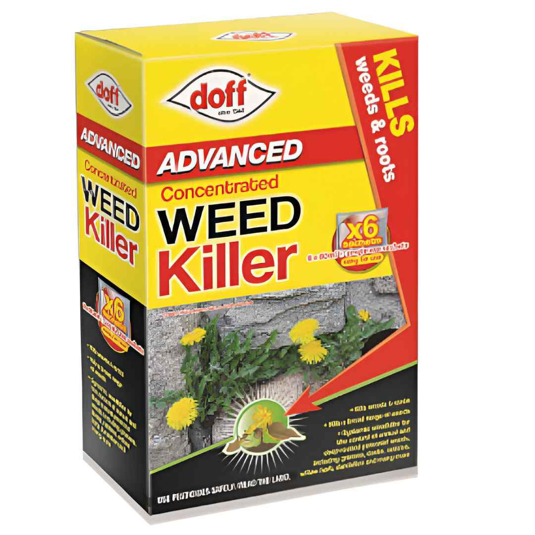 Product Image Zoom -1