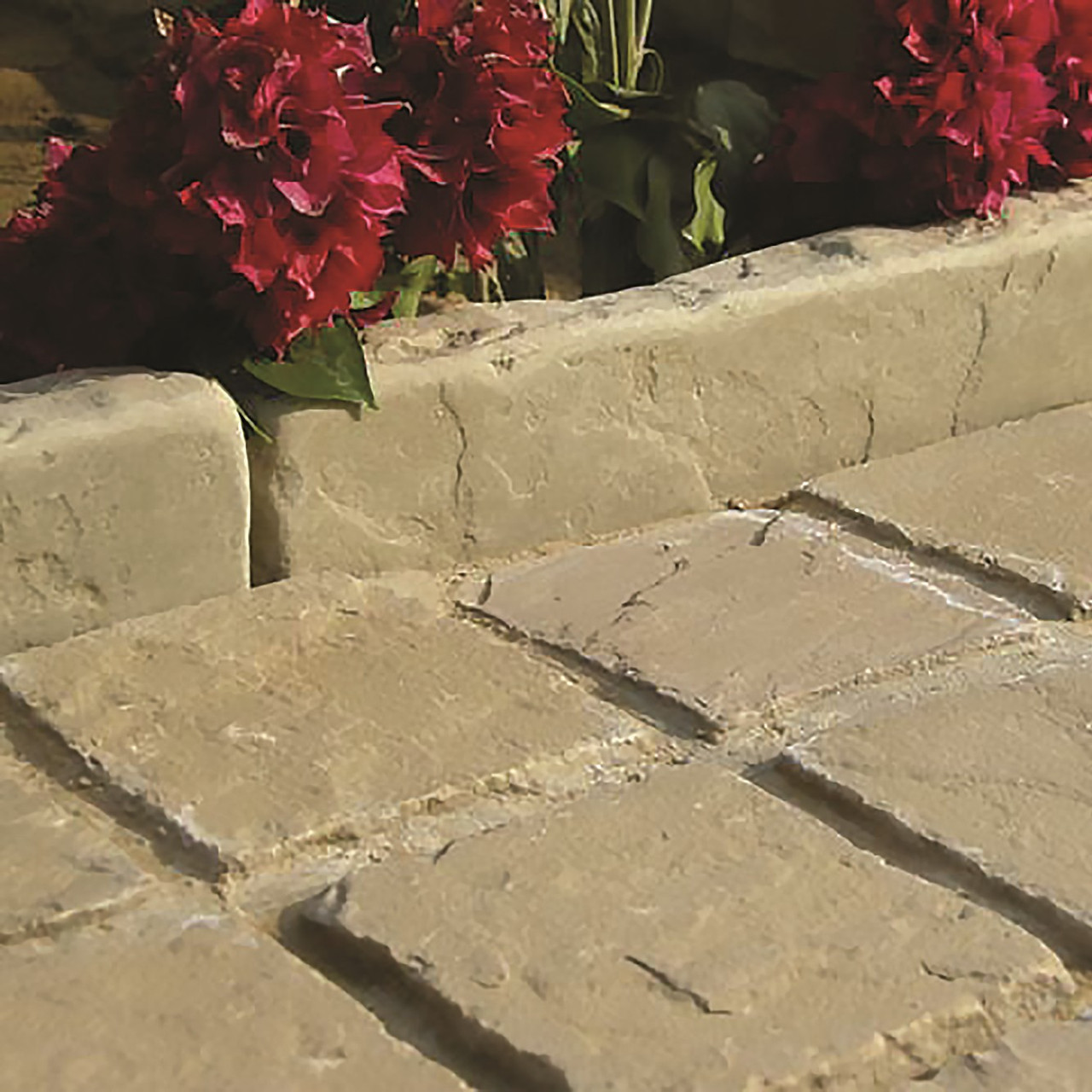 Product Image Zoom -1