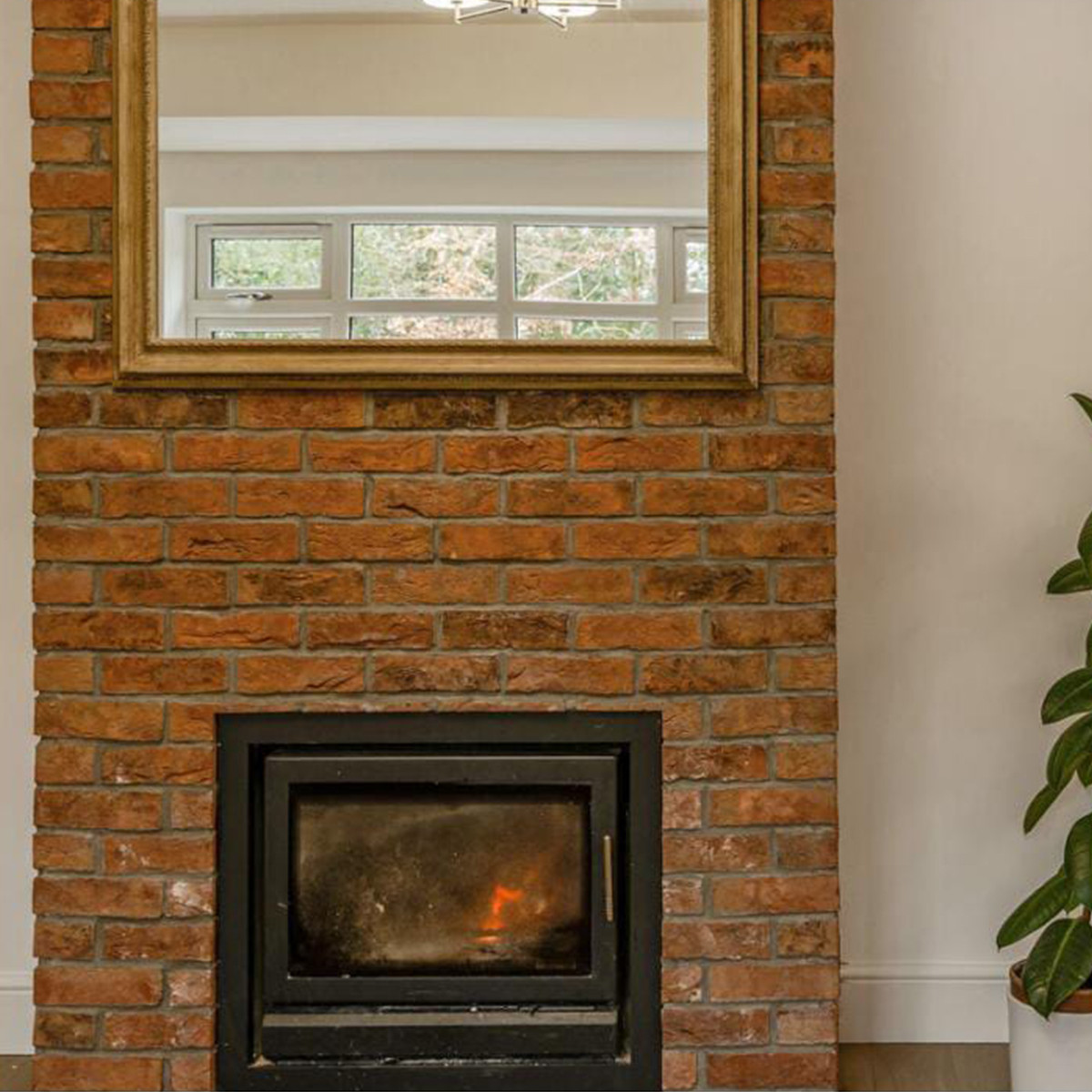 Product Image Zoom -1