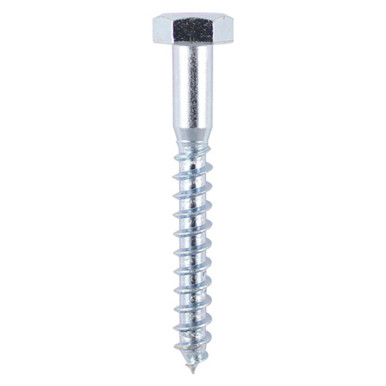 Coach Screw Din 571, 12mm x 100mm, 20 Pieces product image