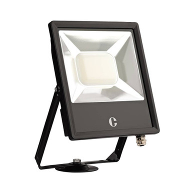 Collingwood Fl10bxcs 100w Switchable Floodlight product image