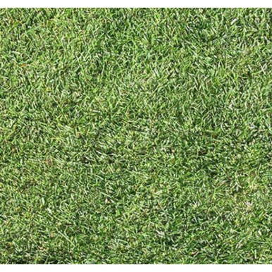 Heritage Artificial Grass, 38mm Pile, 5m Width product image