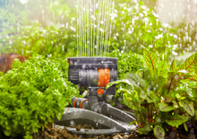 Product Image thumbnail