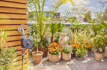 Product Image thumbnail