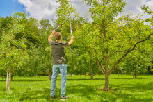 Product Image thumbnail