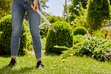 Product Image thumbnail