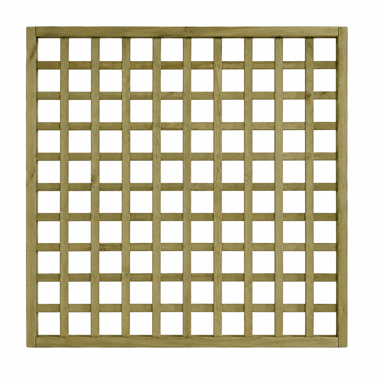 Product Image Zoom -1