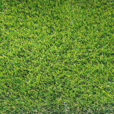 Ashby Luxe Artificial Grass, 30mm, Per m2 product image