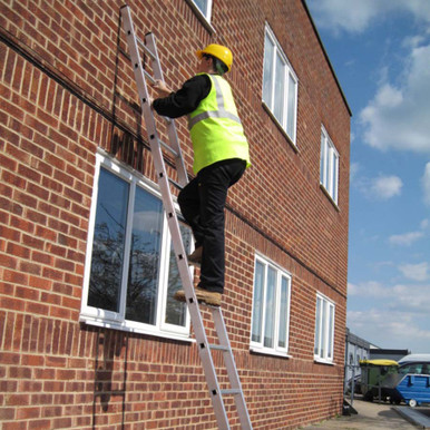 Youngmans T200 2 Part Ladder 3.66m product image