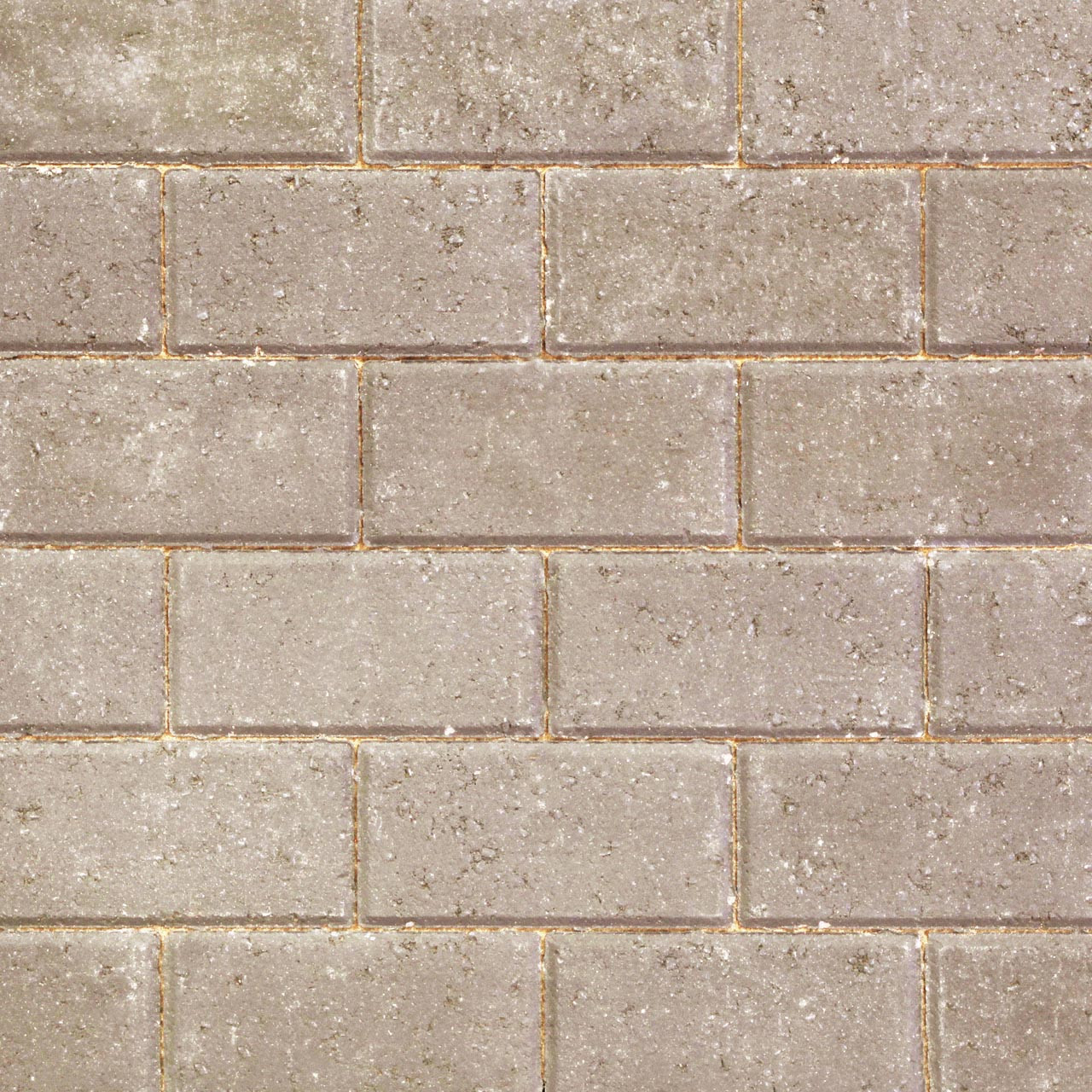 Photograph of Pavedrive Block Paving 200mm x 100mm x 50mm Grey