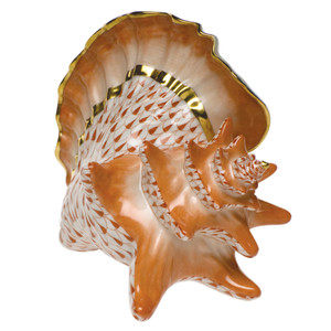 Conch Shell