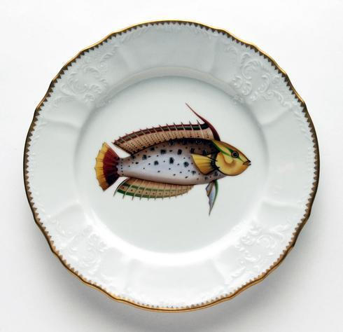 Antique Fish Rainbow Spotted Dinner Plate, ANNDVC-277, Sasha Nicholas