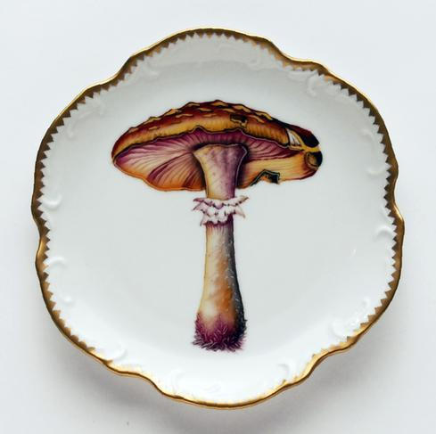 Forest Mushrooms Mushroom #2 Hors D'oeuvre Plate, ANNDVC-860, Sasha Nicholas