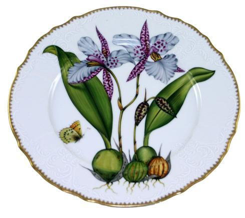 Orchids Dinner Plate #2, ANNDVC-OR2, Sasha Nicholas