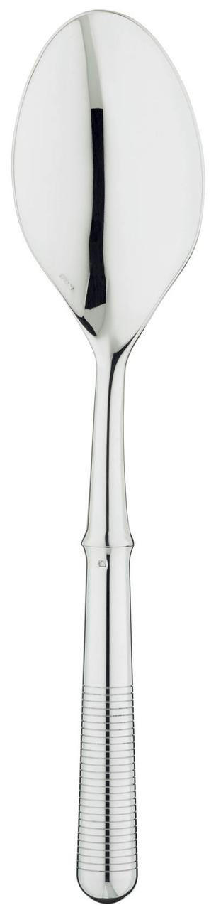 Silver Plated Flatware Transat Serving Spoon, ERCRSL-F650820-41, Sasha Nicholas