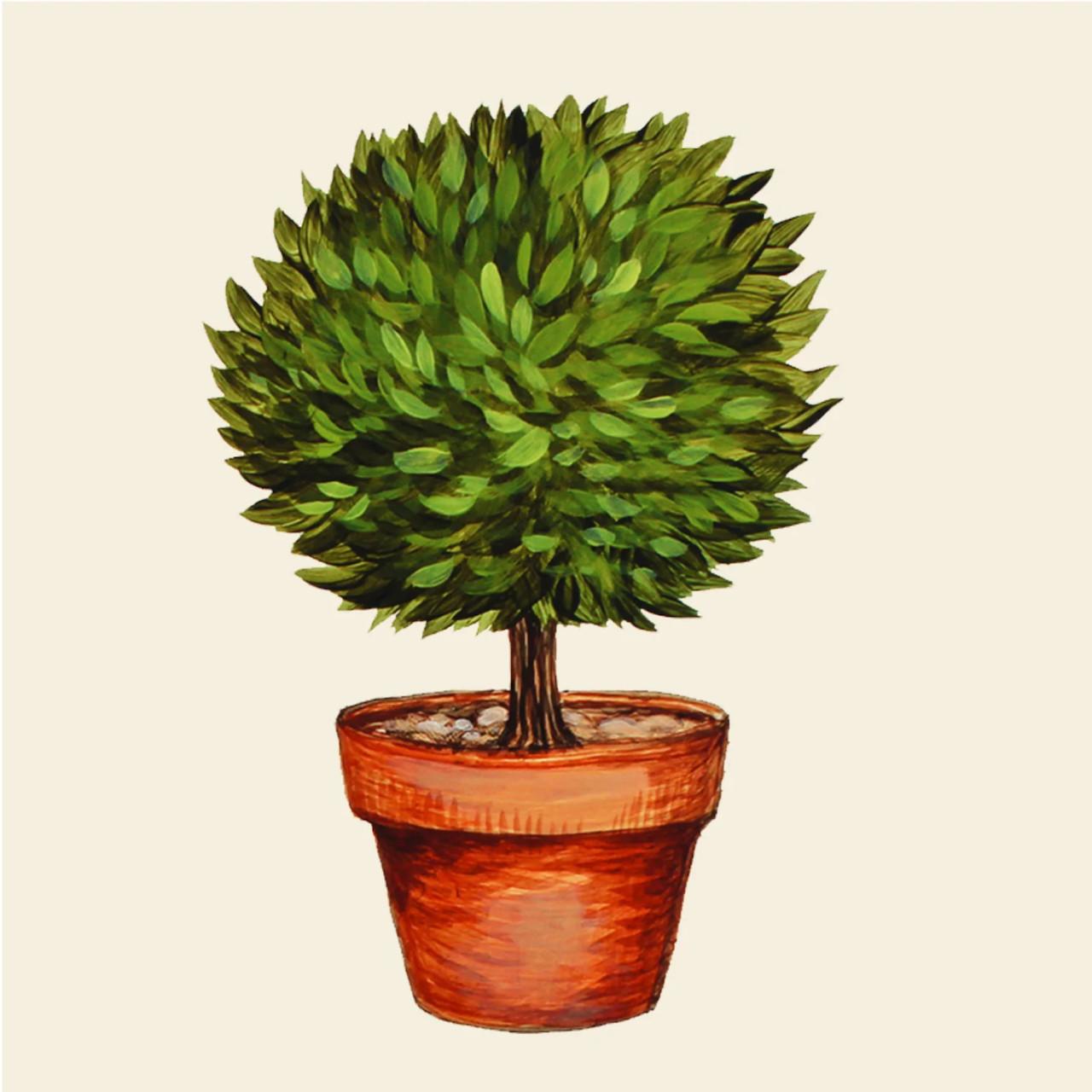 Desloge-Leach Topiary Cocktail Napkin | Pack of 20