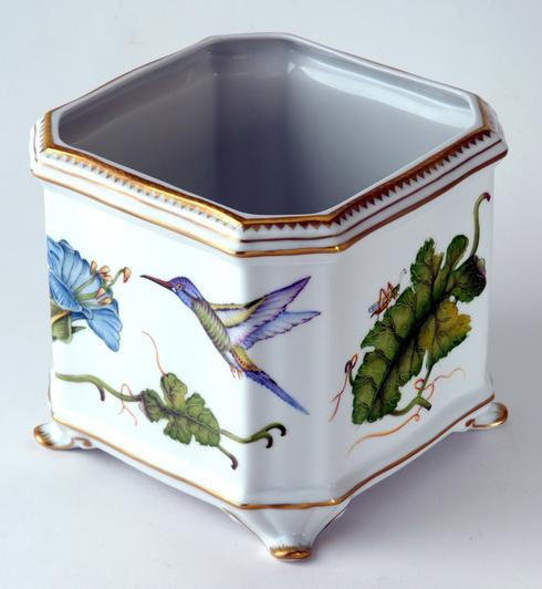 Giftware Hummingbird Square Cachepot, ANNDVC-2004B, Sasha Nicholas