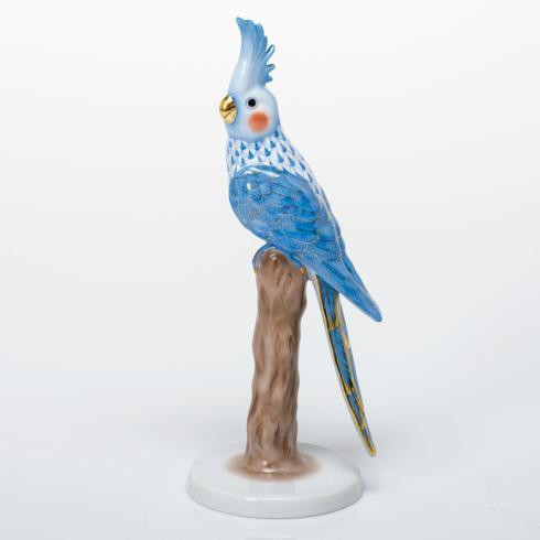 Cockatiel - Blue | Sasha Nicholas