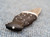 Sterling Silver top stud at top of a traditional Scottish Sgian Dubh with carved Bog Oak handle , Sterling Silver lower ferrule engraved with Celtic Knotwork and a patterned steel blade