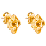 Front product shot of the Oroton Aster Studs in Worn Gold and Brass Base With 18CT Gold Plating for Women