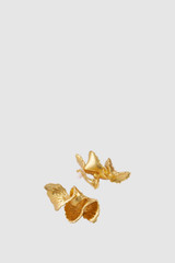 Detail product shot of the Oroton Coral Large Stud in Worn Gold and Brass base for Women . IP:21
