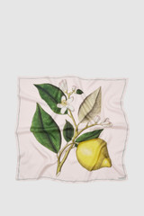 Front product shot of the Oroton Lemon Print Scarf in Peach and 100% silk twill fabric for Women . IP:1