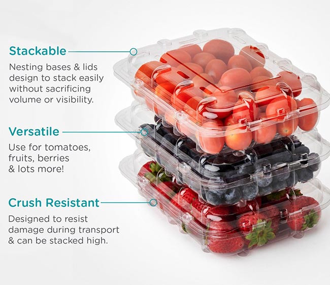 12 oz Compostable PLA Vented Berry Clamshell Containers XXV00302