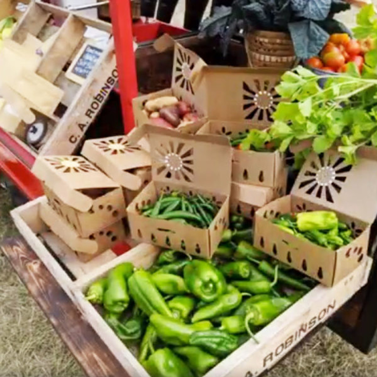 Sustainable Produce Container