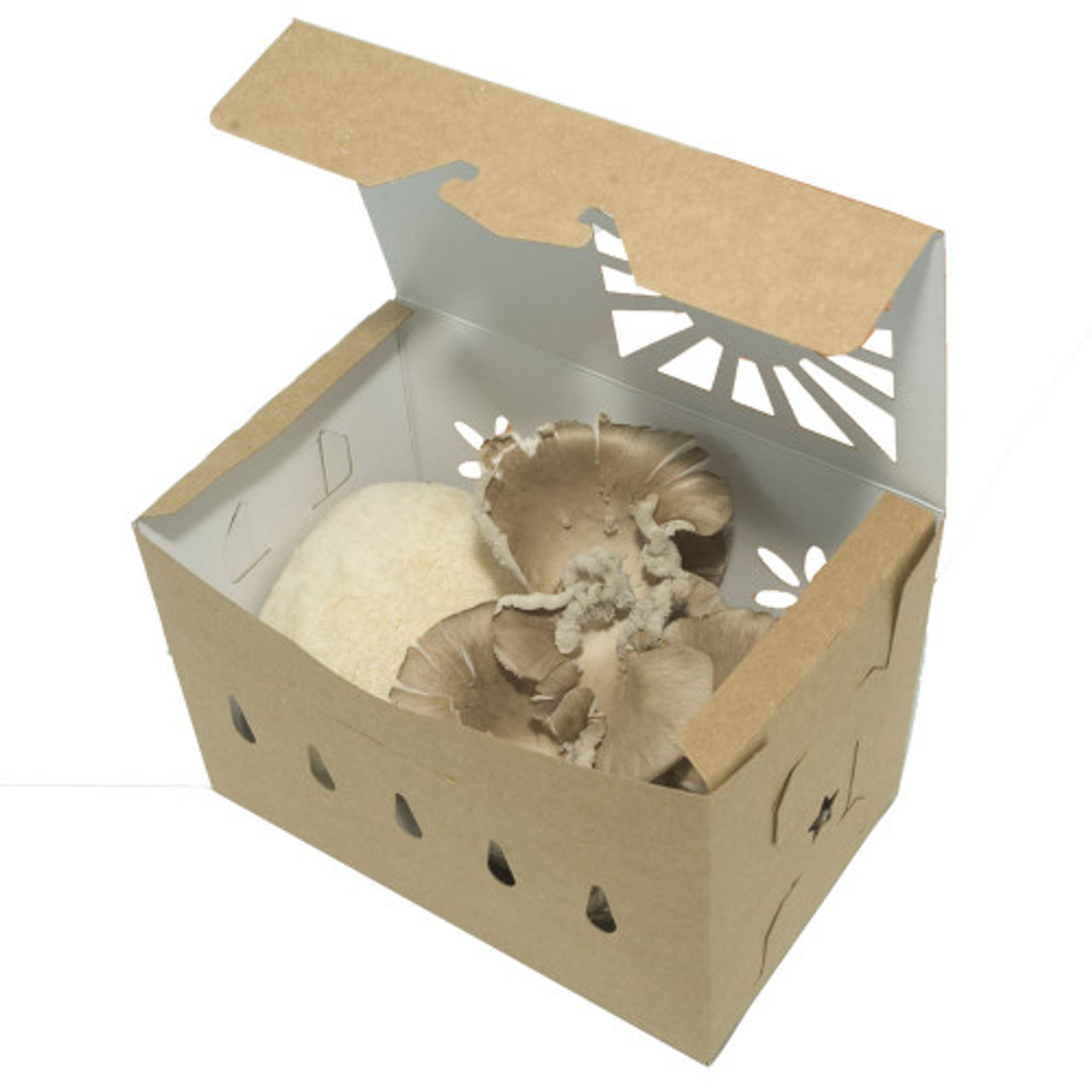 1 Quart Kraft Paper Sustainable Produce Containers