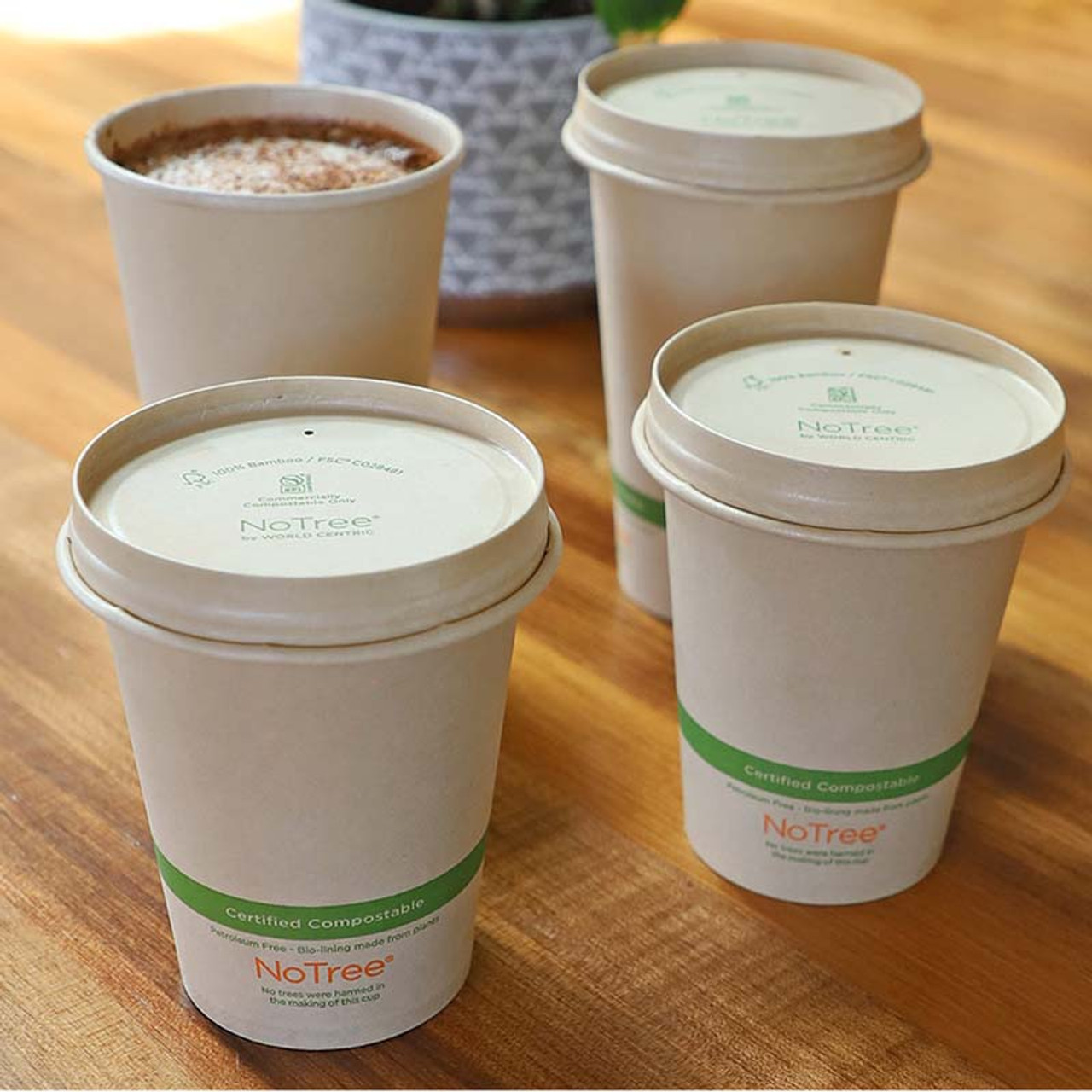 World Centric 16 oz Double Wall Compostable Coffee Cups