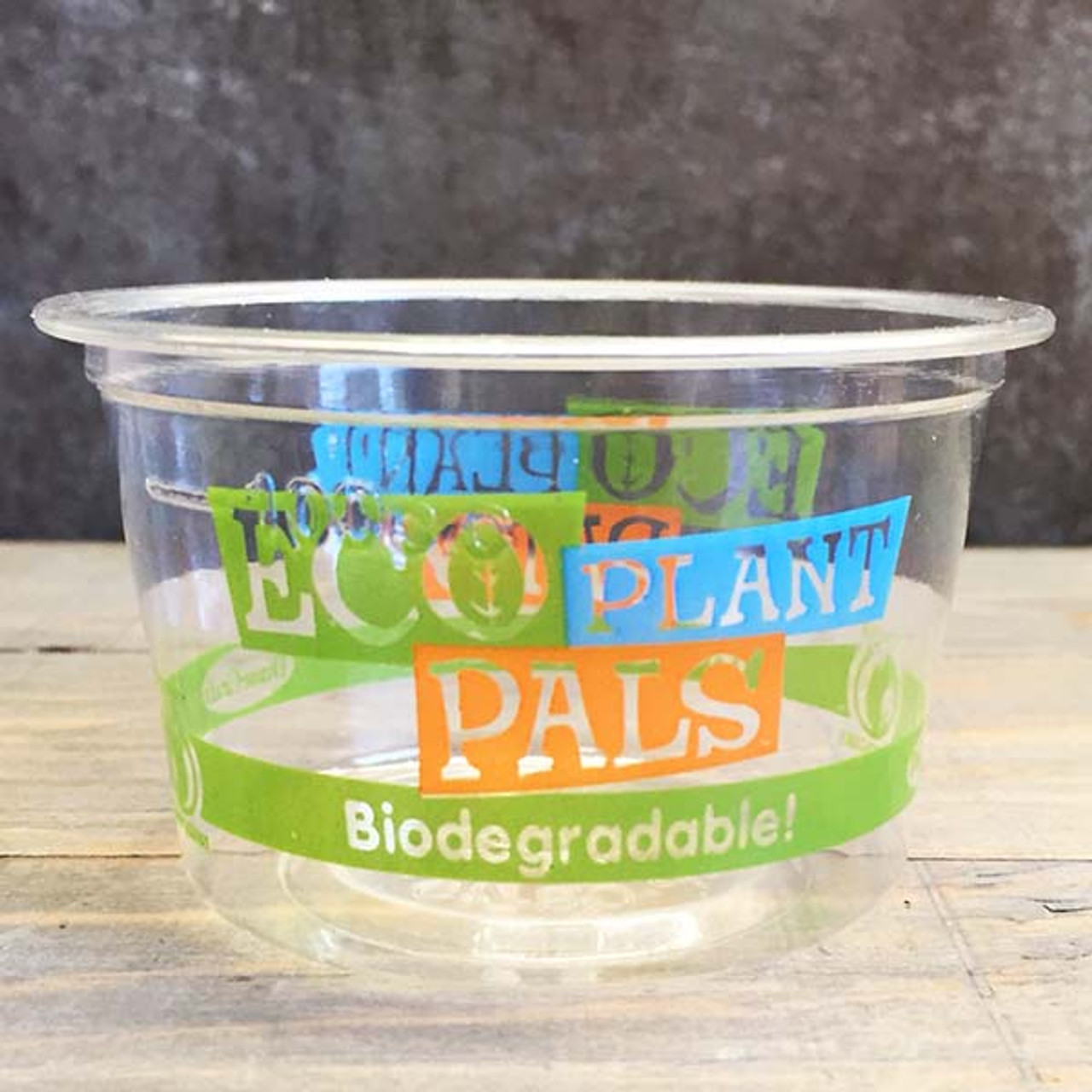 Compostable Portion Cups with Lids, Disposable Souffle Take Out