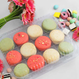 Small Treat Containers BXX00113 Small Treat Containers BXX00113