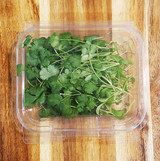 8 oz PLA Microgreen Clamshells BDV01749