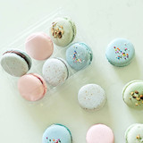 Macaron Containers 6 Section Sample