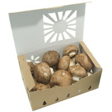 mushroom packaging containers