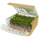 1 quart paper microgreen containers