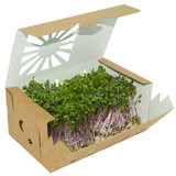 1 quart paper microgreen containers