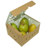 3 Quart Paper Fruit Containers