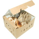 3 Quart Compostable Kraft paper mushroom containers 3 Quart Compostable Kraft paper mushroom containers
