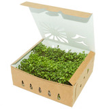 1 quart paper microgreen container samples