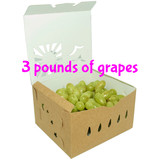 3 Quart reversible paper grape Container sample