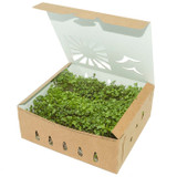 Compostable Paper Pint Packaging