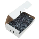 Low Profile Pint Reversible Paper Clamshell Produce Containers