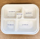 Biodegradable Plastic Disposable Compartment Lunch Box (SZ-305