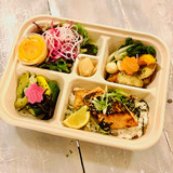 5 Compartment Bento Box (400pcs) - container only – Greensleeves