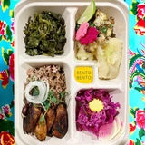 Bento Boxes TR-SC-BB