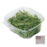Made in the USA Clear 24 oz Clamshell Container Made in the USA Clear 24 oz Clamshell Container